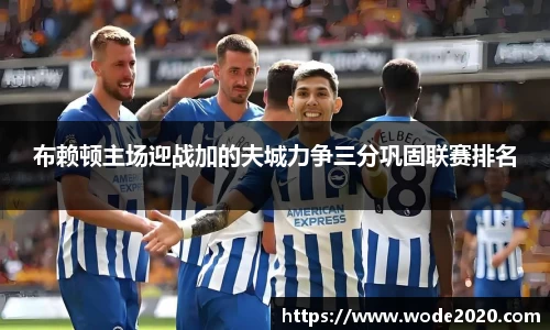 布赖顿主场迎战加的夫城力争三分巩固联赛排名